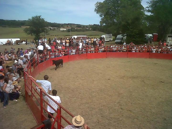 Arènes portatives sans gradin Castries 