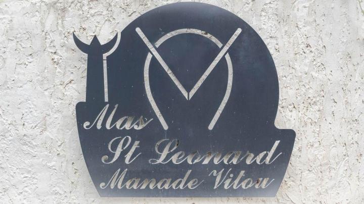 Organisation d'évènements Castries